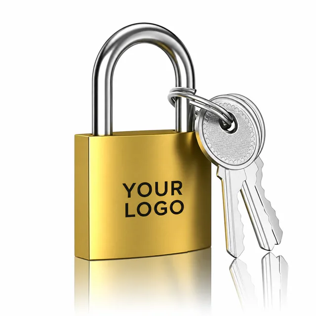 Custom Alloy Padlock With Keys For Lockers And Luggage