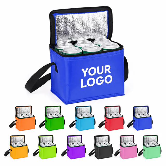 6 Can Non Woven Insulated Cooler Lunch Bag