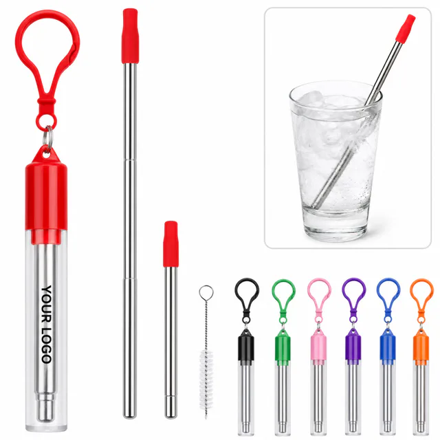Telescoping Stainless Steel Straw With Keychain Case